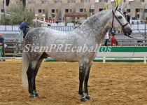 W AQUILES DE LA ROSA, DE EL PRINCIPADO ESPANA, PLATA Y MEJORES MOVIMIENTOS SECCION 10